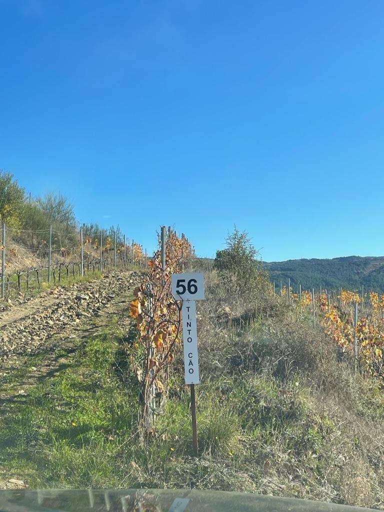 Quinta Da Penada - Vineyard & Winery - Suite 3 Chaves Exterior foto