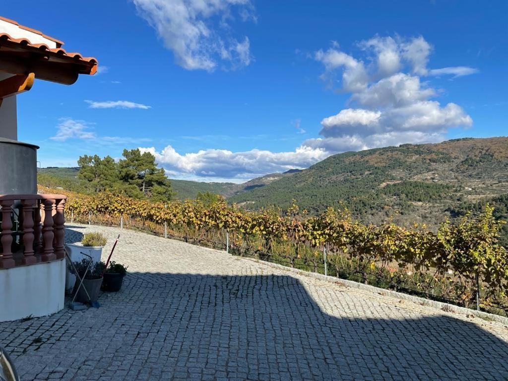 Quinta Da Penada - Vineyard & Winery - Suite 3 Chaves Exterior foto